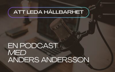 Att leda hålbarhet – Karin Heri, Malmö FF